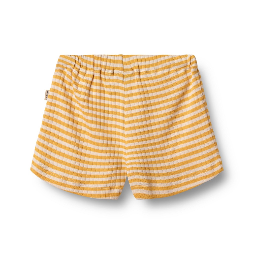 Jersey Shorts Vic FS25