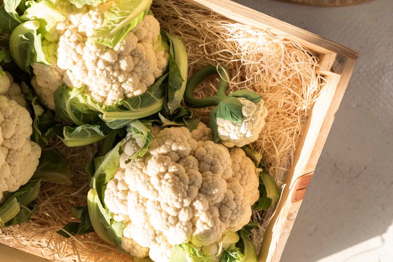 Rattle Cauliflower